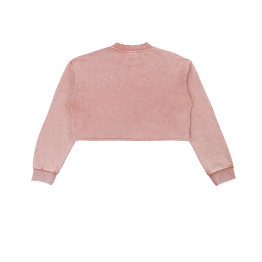 Glory Washed Cropped Sweatshirt