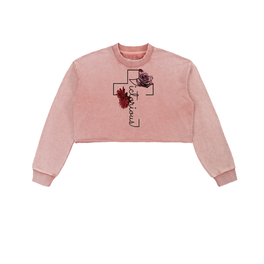 Glory Washed Cropped Sweatshirt